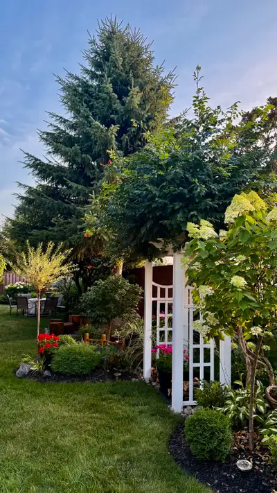 Various Beautiful Perennial Plants $5 to $50 from my garden, View more