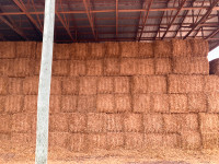 Big square straw bales