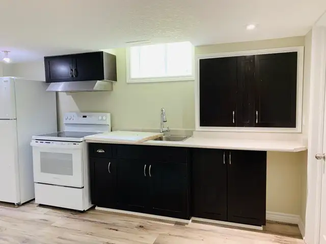 1 Bed ,1 bath basement apartment for rent 