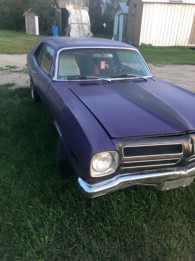 Looking for a project in Classic Cars in Saskatoon - Image 2