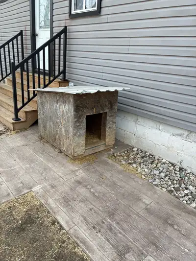 Dog House, View more