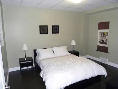 Fully furnished one bedroom one bed one bathroom near TRU and ho