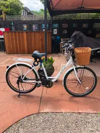 Ladies electric bike