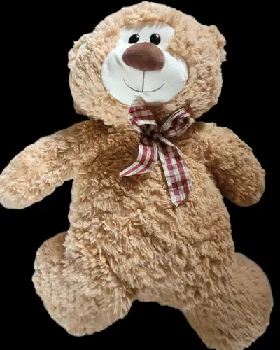 Light brown teddy bear. I deliver, View more