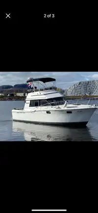 Carver Flybridge 32’ 