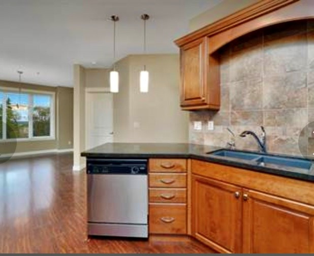 LUXURY CONDO- STEPS FROM THE LAKE- FANTASTIC REVENUE ! in Condos for Sale in Red Deer - Image 2
