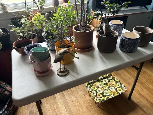 Downsizing sale   teak mcm in Home Décor & Accents in Ottawa - Image 4