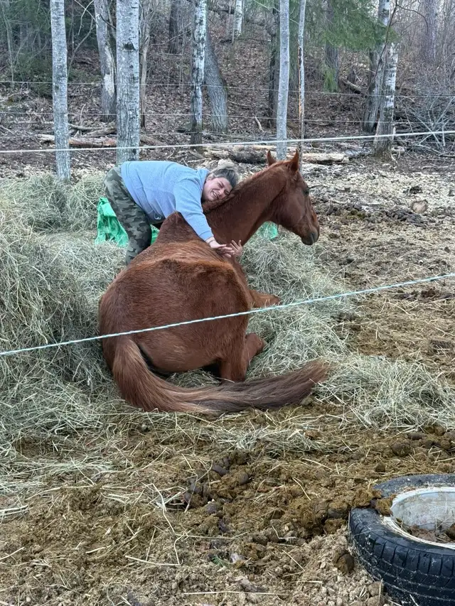 Horseback riding available!441075151595130886