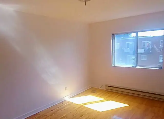 Painter Seeking Jobs64985459883649123