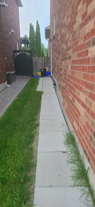Basement apartment with 2 bedrooms 1.5 washrooms 1 parking spot,with separate entrance. Other side t...