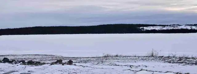 drive way snow clearing 20$64694953314435120