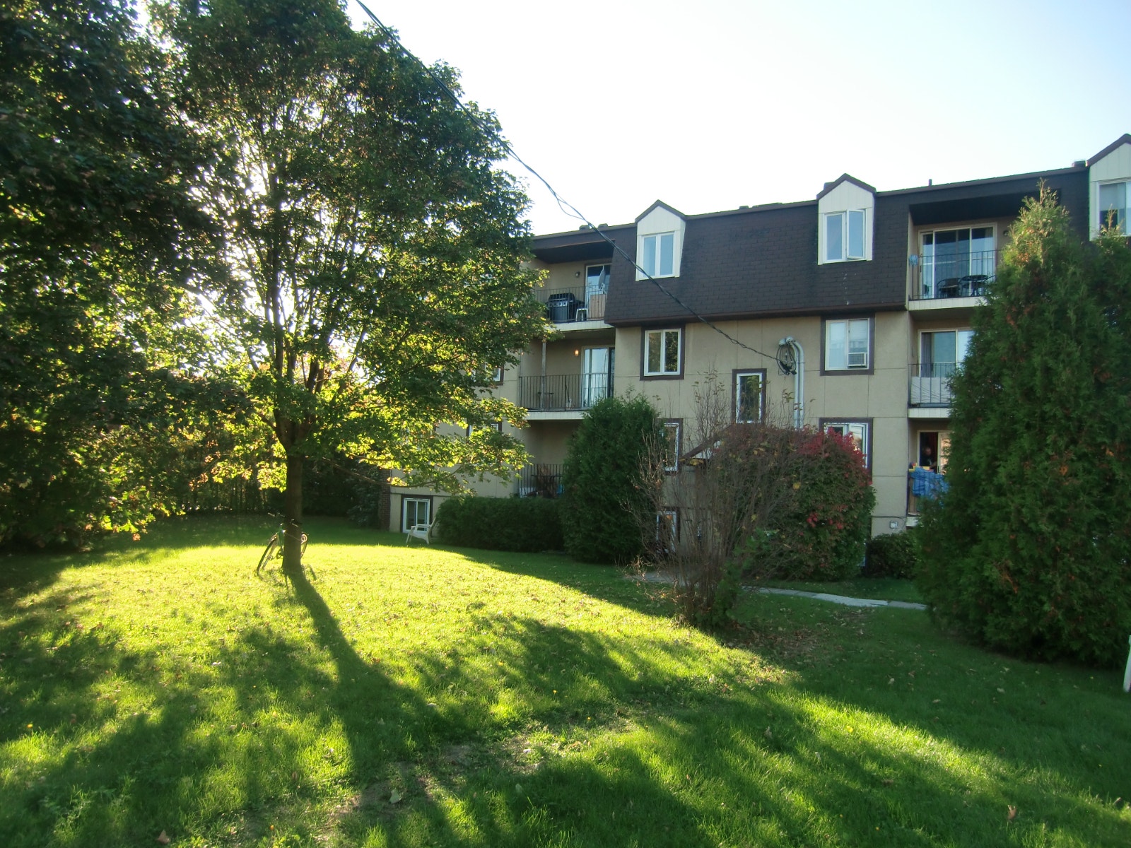 Grand 4 1/2  Laval Ste-Rose Champfleury — photo 2