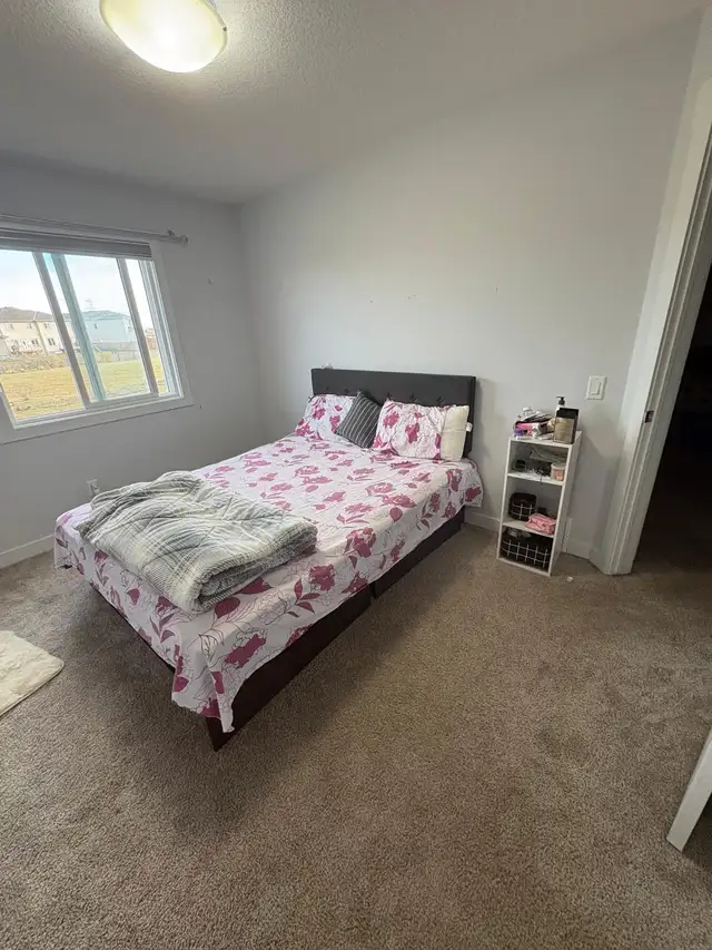 Room for Rent in Laurel605035519217520643