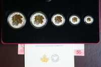 2014 Selective Gold Plating Silver Maple Leaf Fractional 5 Coin