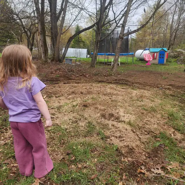 Stump Removal475477991322429444
