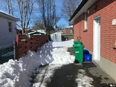 blizzard and bloom services, View more