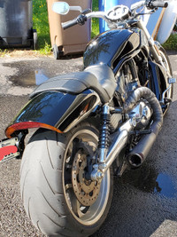Harley Davidson VRod Muscle 2014 A VENDRE