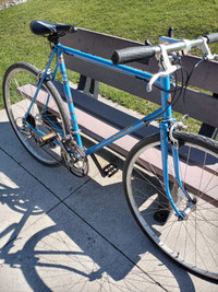 Bicycle Raleigh Hybrid 