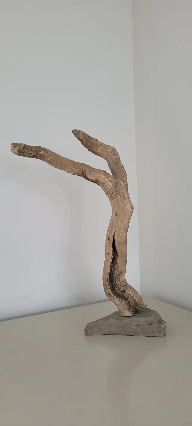 Petit Bois Flotté Accessoire sur base Aquarium Driftwood w/base in Hobbies & Crafts in Laval / North Shore - Image 8