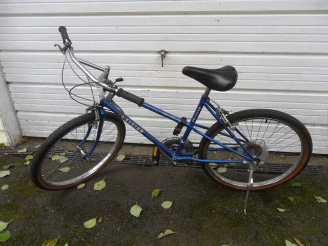 Raleigh, Matterhorn bicycle in Other in Delta/Surrey/Langley