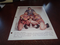 Dale roberts / gerry brown the Hollywood Blonds quebec wrestling