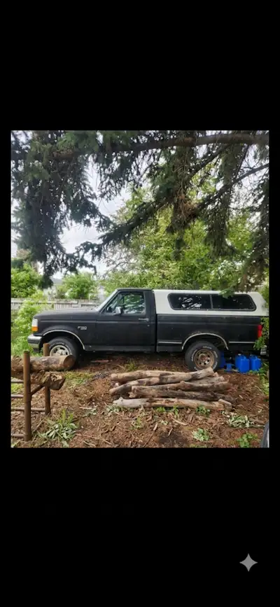 2x 1995 ford shortbox f150s 1x2wd,1x 4x4.5.0,5speed.4x4 needs a slave cylinder to drive.both run goo...