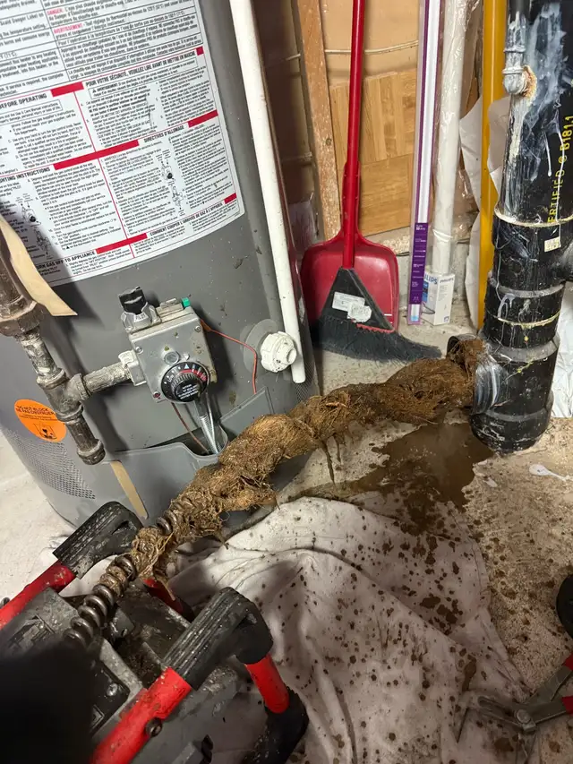 Affordable plumber453872204530339848