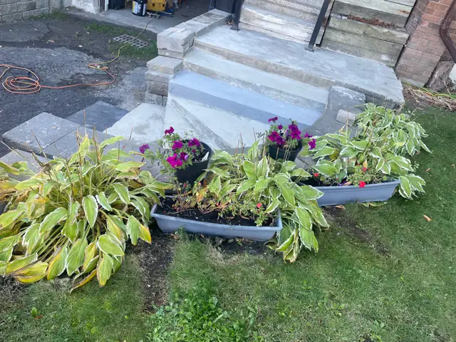 general yard maintenance & fall cleanup services64319062101634121