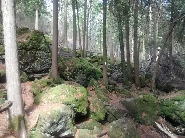 Weekday hiking471854986748897280