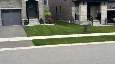 Affordable Lawn Care & Spring Cleanups – Woodstock & Area, View more