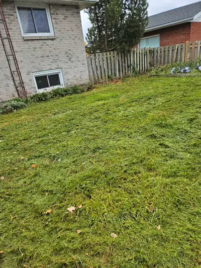 Get your yard ready for summer. Spring cleaning house cleaning Bush removal.seeding . Sodding fertil...