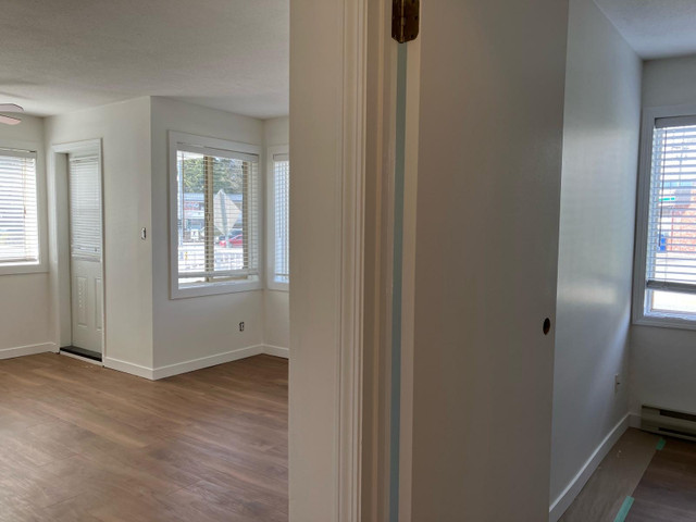 One Bedroom Condo Central Nanaimo in Long Term Rentals in Nanaimo - Image 2