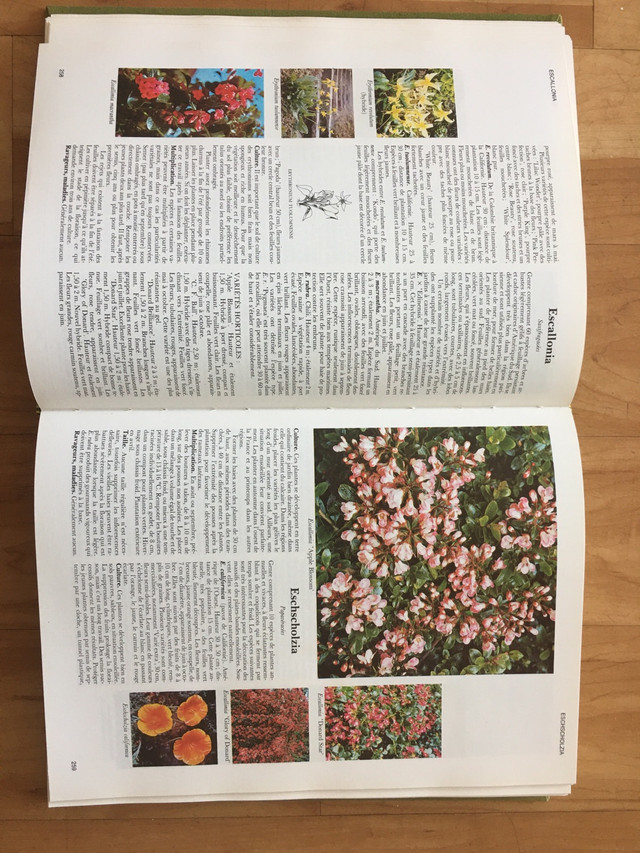 Encyclopédie des fleurs et plantes de jardin dans Plantes, engrais et terreaux  à Ville de Montréal - Image 3