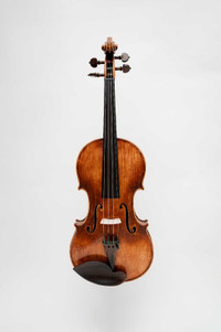 Violin (Professional) 