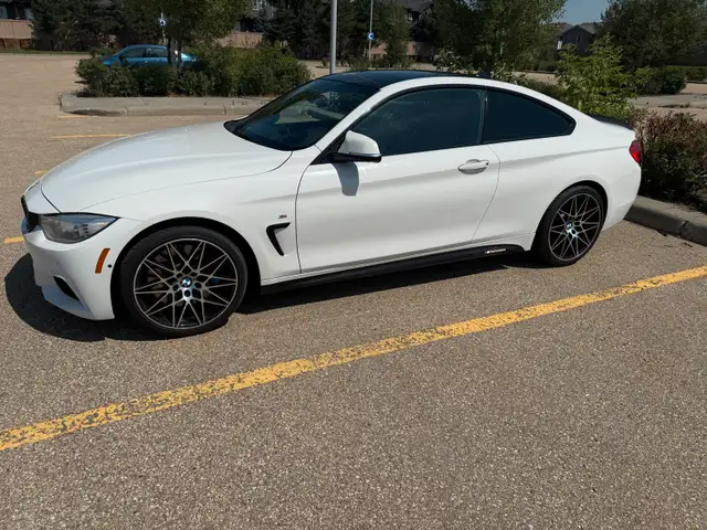 2014 BMW 4 series 63838165273859123
