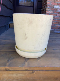 Planter with Tray