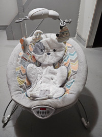 Fisher Proce Baby Bouncer