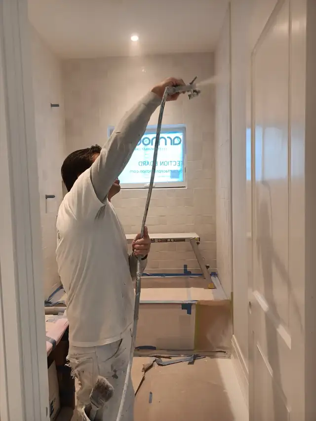 Professional Painter62863221838209122