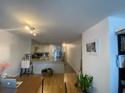 Magnifique 3 1/2 sur le boulevard Maisonneuve Est