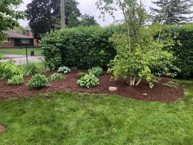 landscaping  / grass cutting