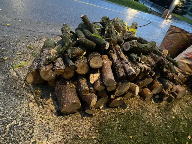 free firewood nicely cut. see pictures! in Free Stuff in City of Toronto - Image 4
