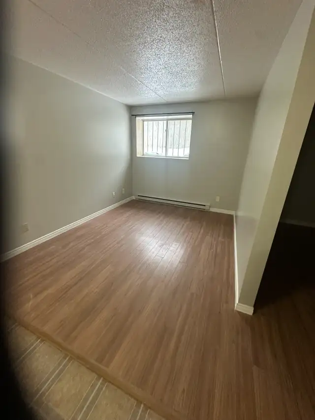 Bachelor available Now Minnow Lake in Long Term Rentals in Sudbury - Image 5