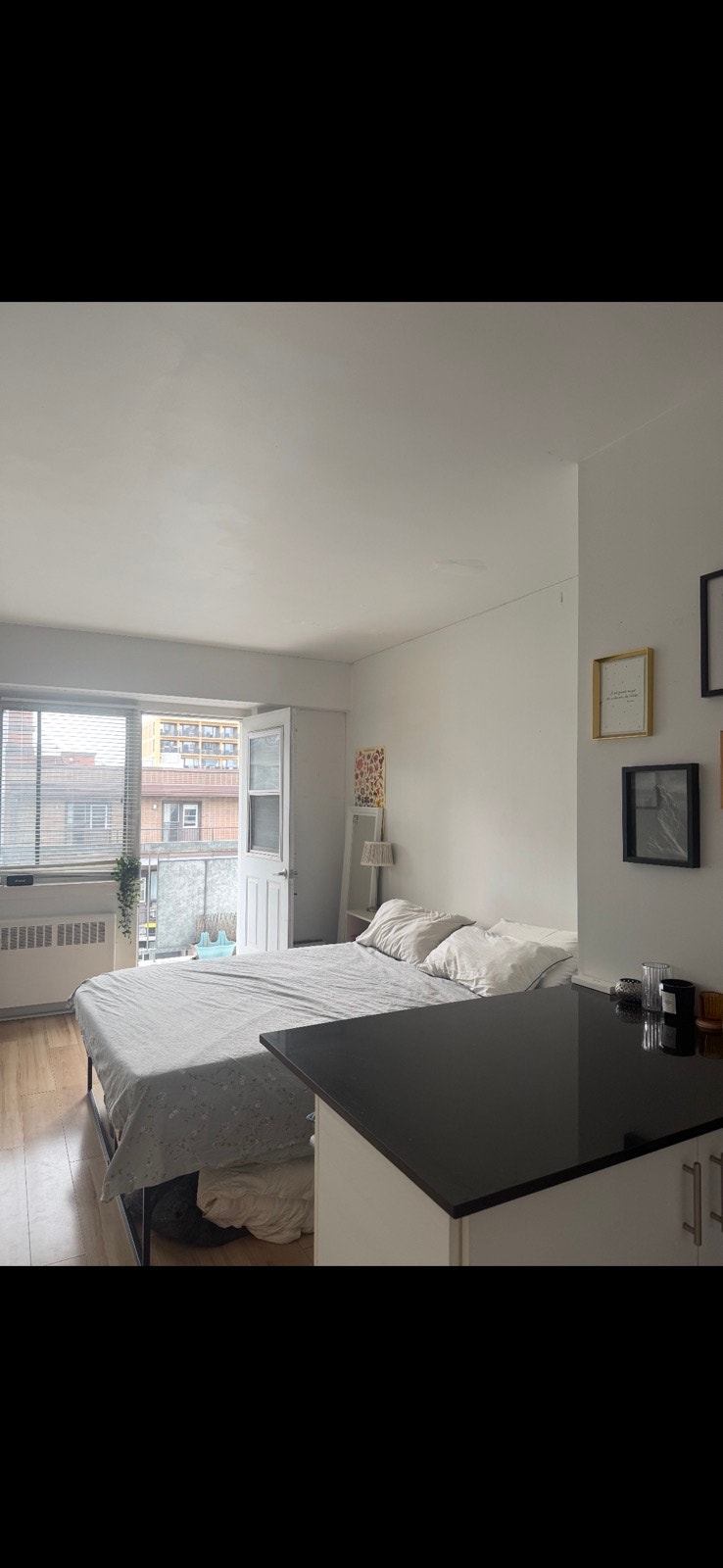 3445 Rue Hutchison — photo 3