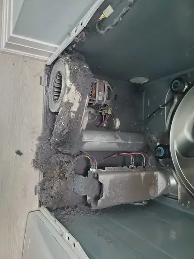 Appliance repair - dryer maintenance with lint inside, View more