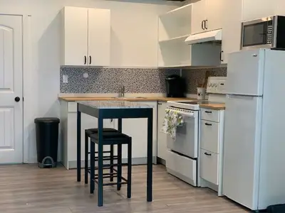 1 bed 1 bath above ground furnished suite with utilities included. Large windows and lots of sunligh...