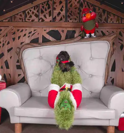 Rencontrer Nelly/Meet Nelly, View more