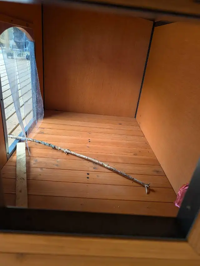 brand new dog house  in Animal & Pet Services in Moncton - Image 4