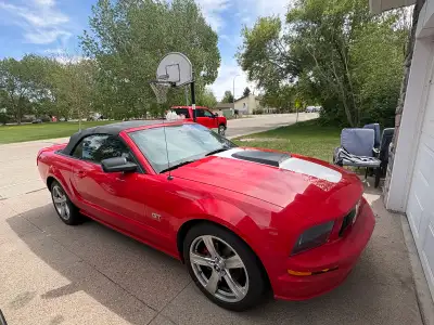 2005 ford mustang gt. Great condition convertible black leather interior. High performance clutch. $...