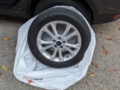 Brand new. Drove from the dealership to the Canadian Tire where I had them replaced. Currently mount...