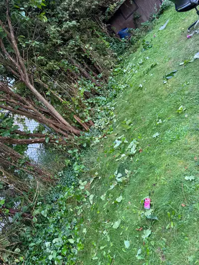 General labor/helper, View more